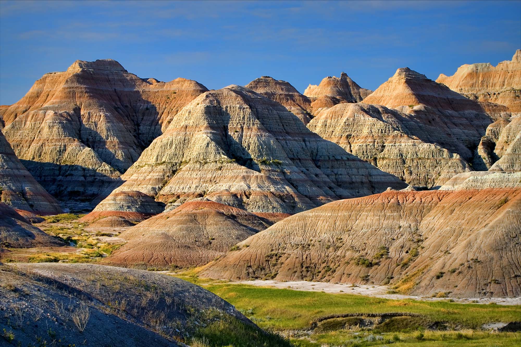 Rejser til Black Hills National Forest og Badlands National Park