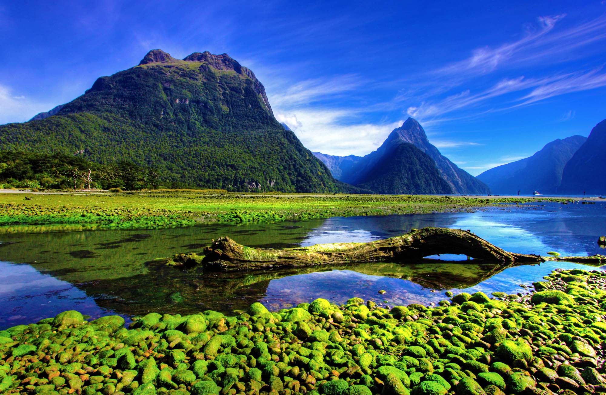 Milford Sound er fantastisk - Rejser til Fiordland