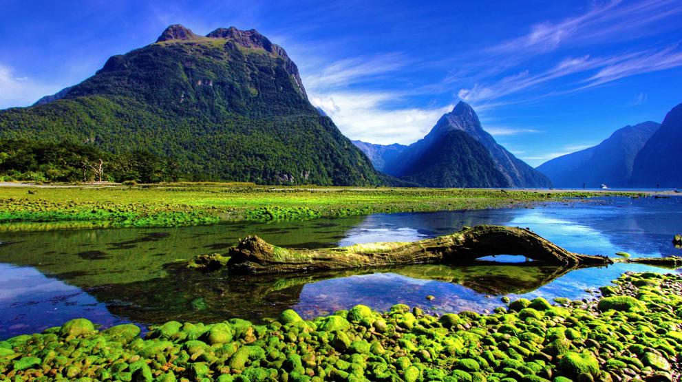 Milford Sound er fantastisk - Rejser til Fiordland
