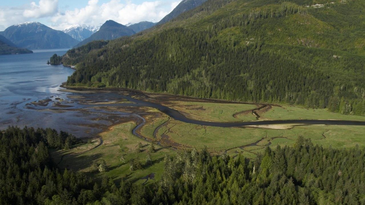 I bor i smukke Glendale Cove, hvor Knight Inlet Lodge ligger