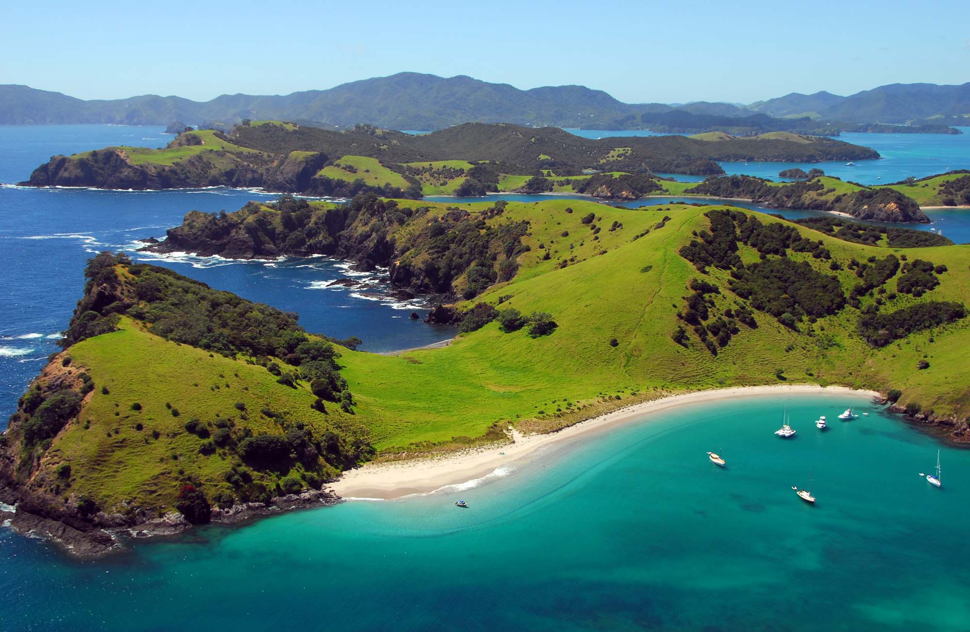 Rejser til Bay of Islands