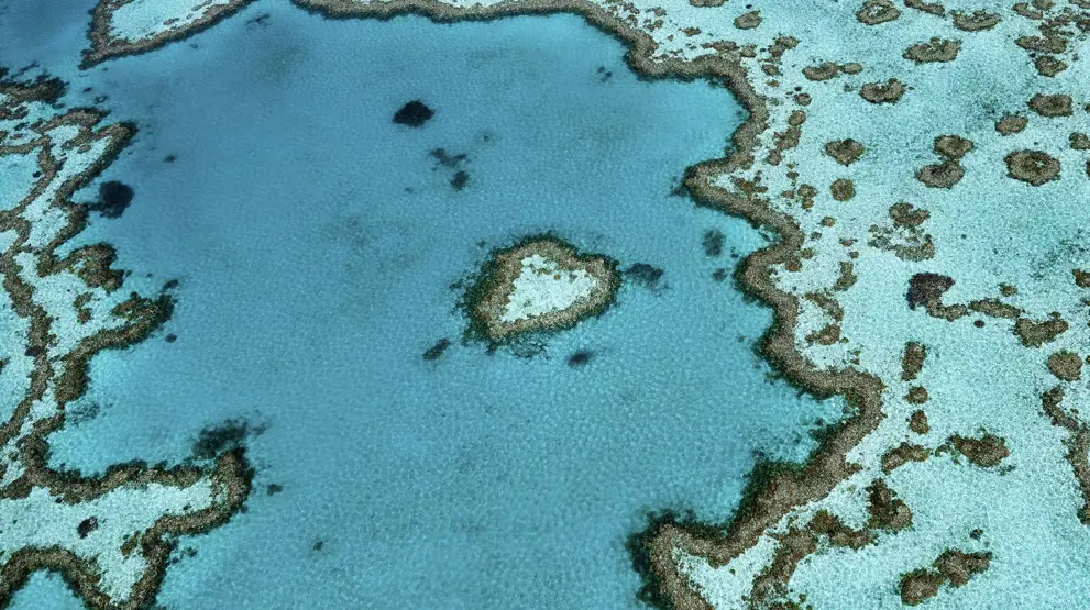 Great Barrier Reef