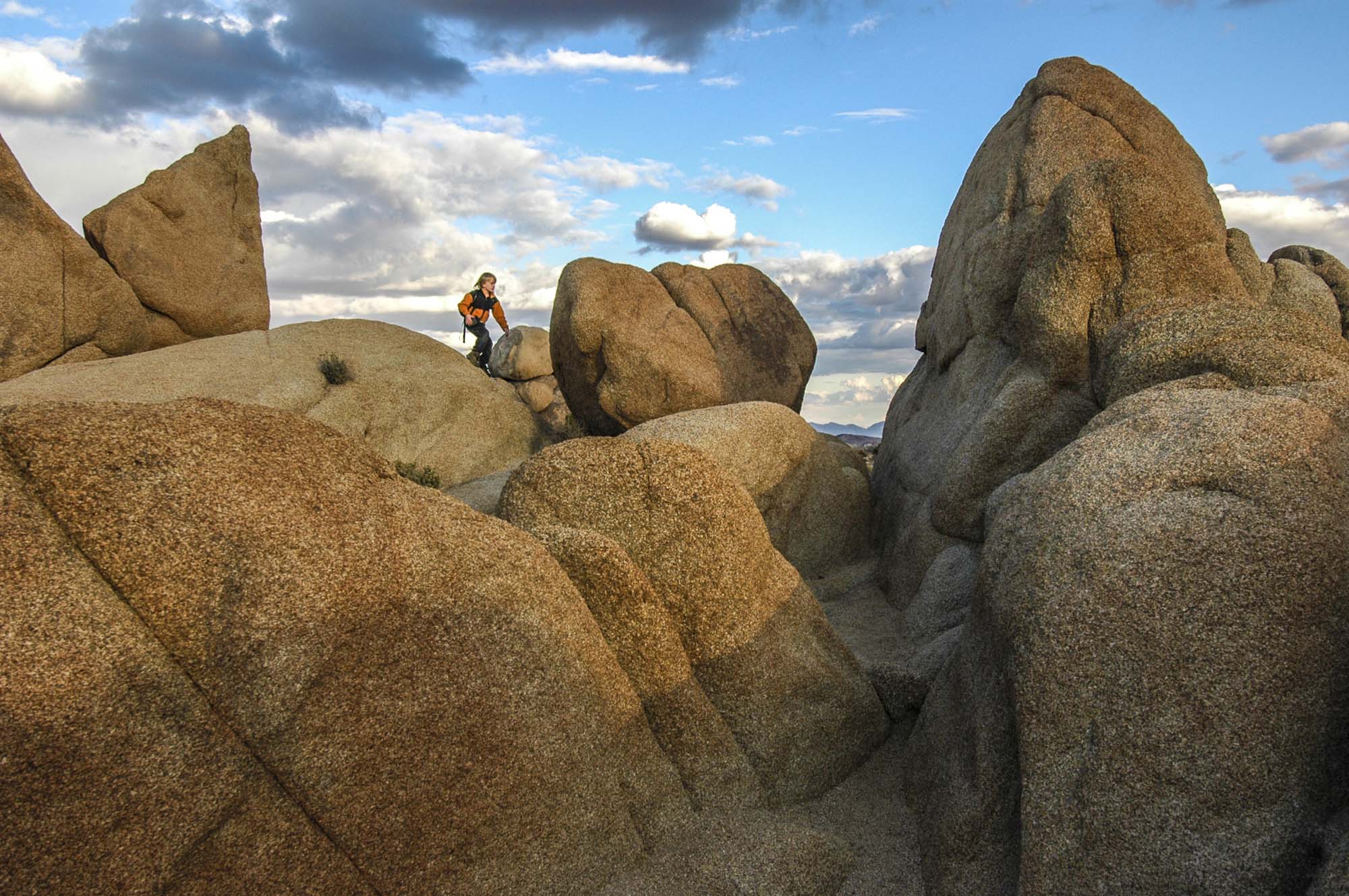 I parken er der mange stenformationer - Rejser til Joshua Tree National Park