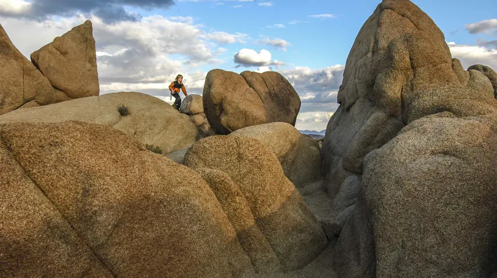 I parken er der mange stenformationer - Rejser til Joshua Tree National Park