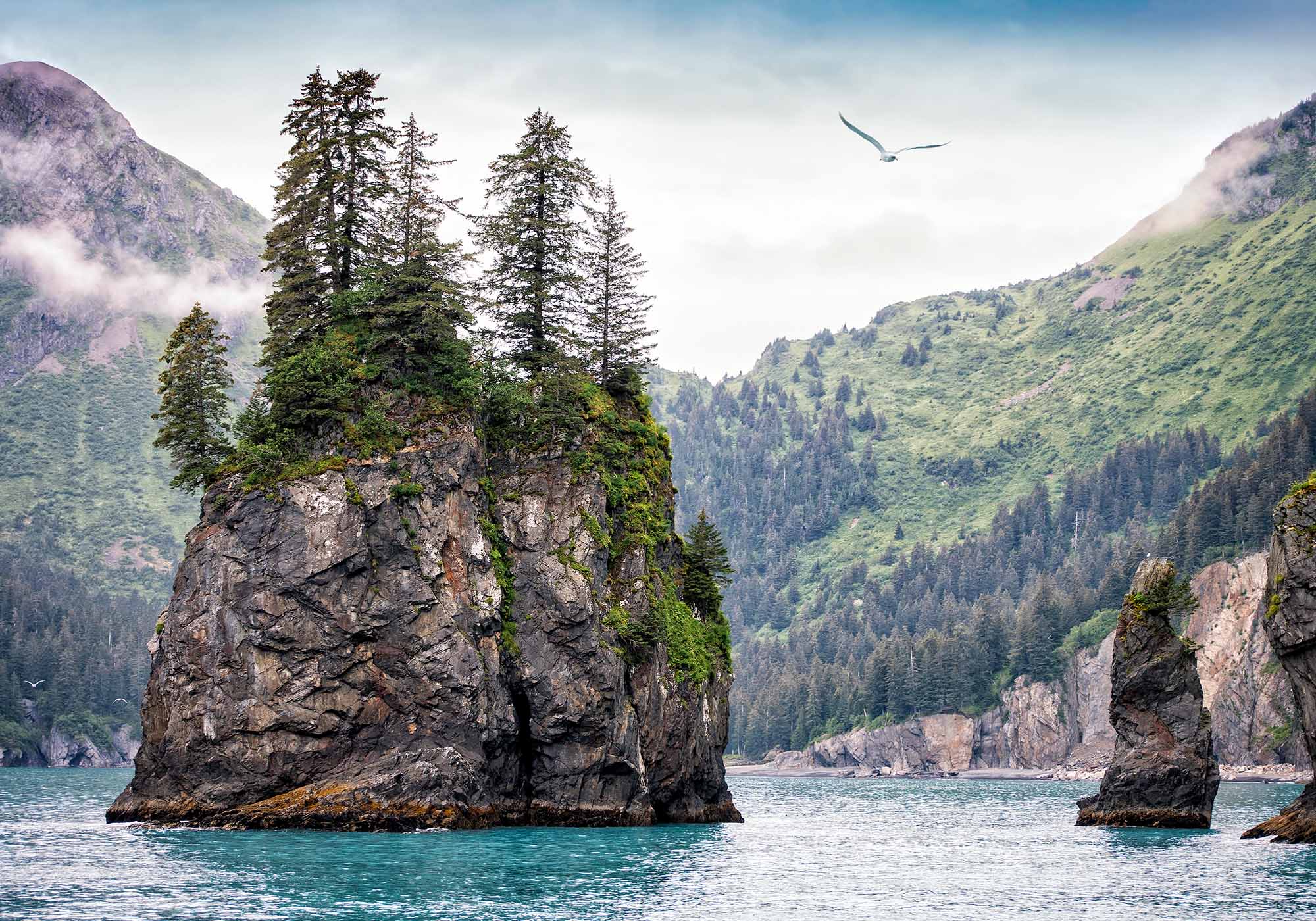 Kenai Fjords kan findes i det sydlige Alaska 