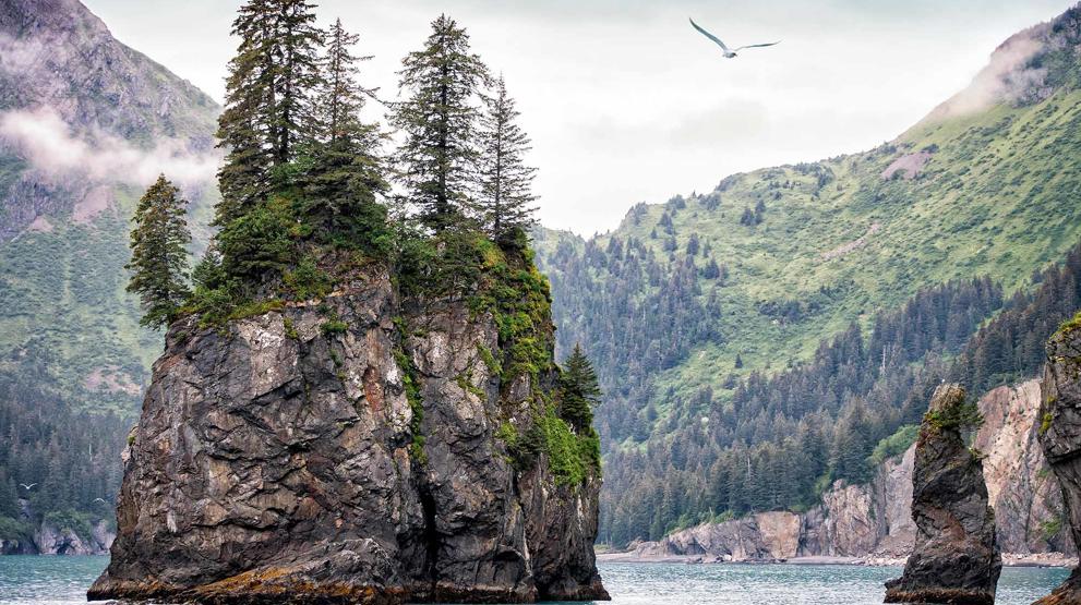 Kenai Fjords kan findes i det sydlige Alaska 