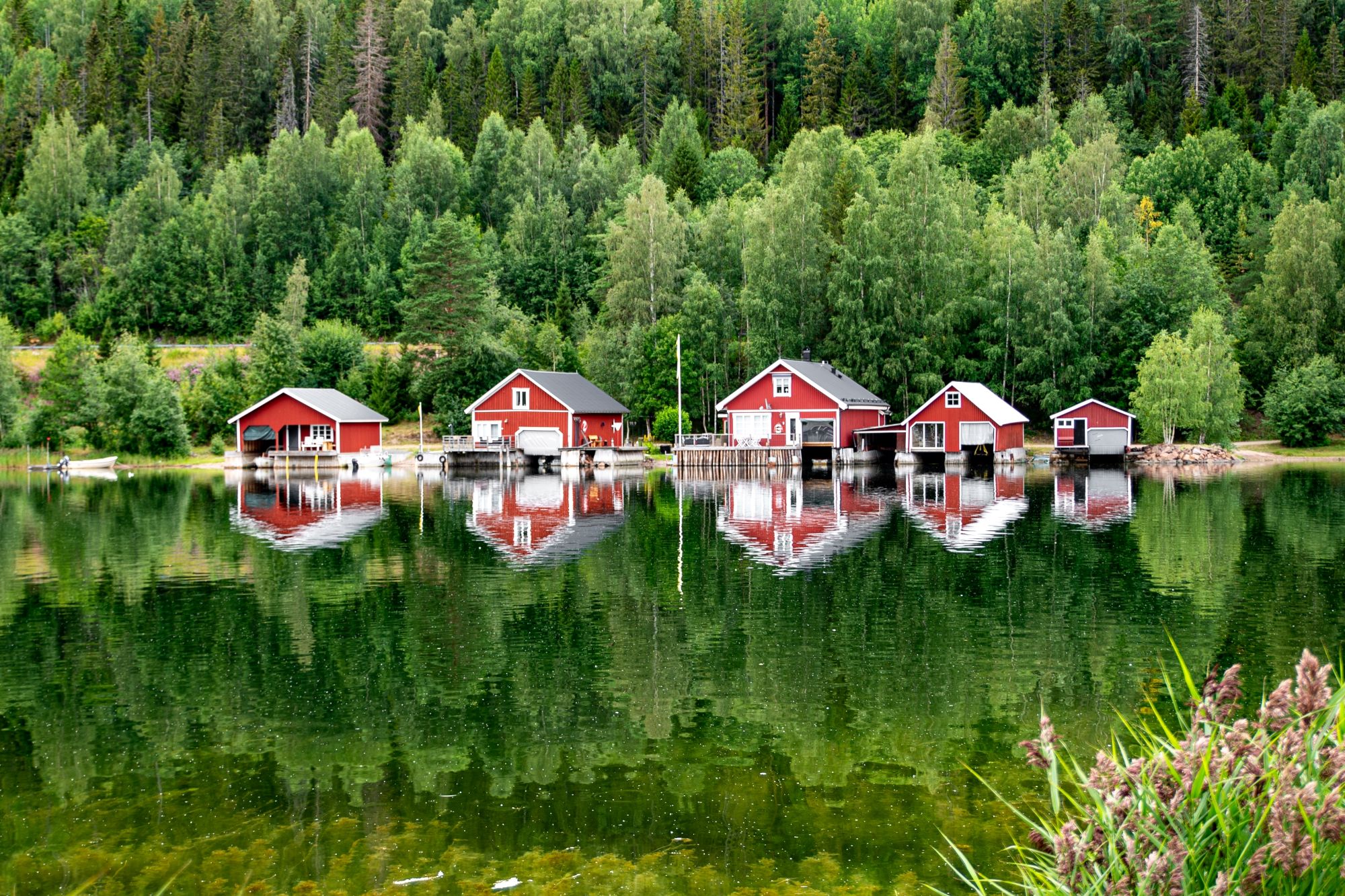 Oplev Höga Kustens storslåede natur, hvor skovklædte højder møder Østersøen