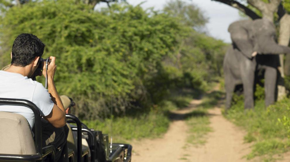 På en safari i Sydafrika er Kruger-parken et must