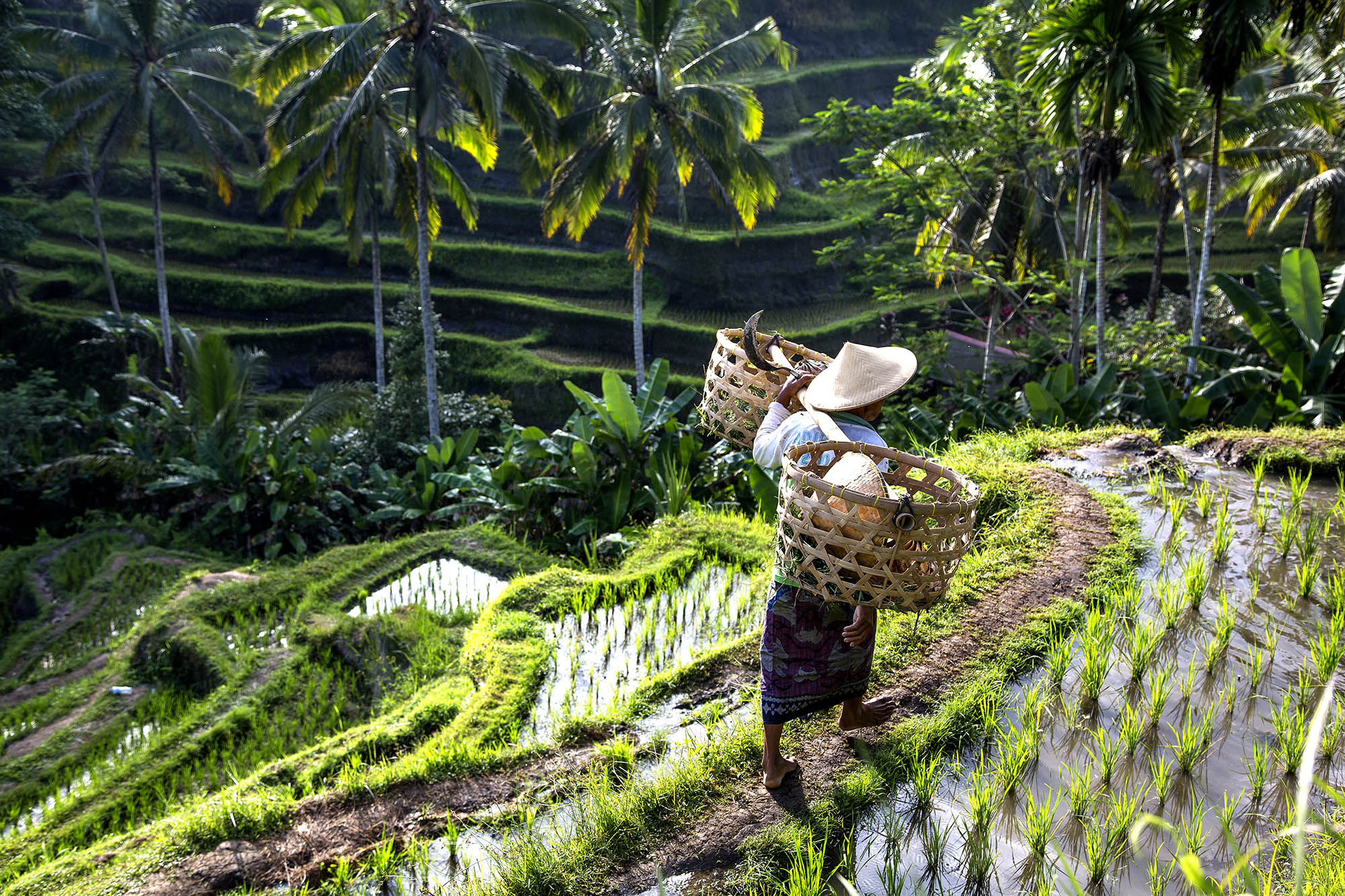 Få autentiske oplevelser med BENNS' rejser til Asien.