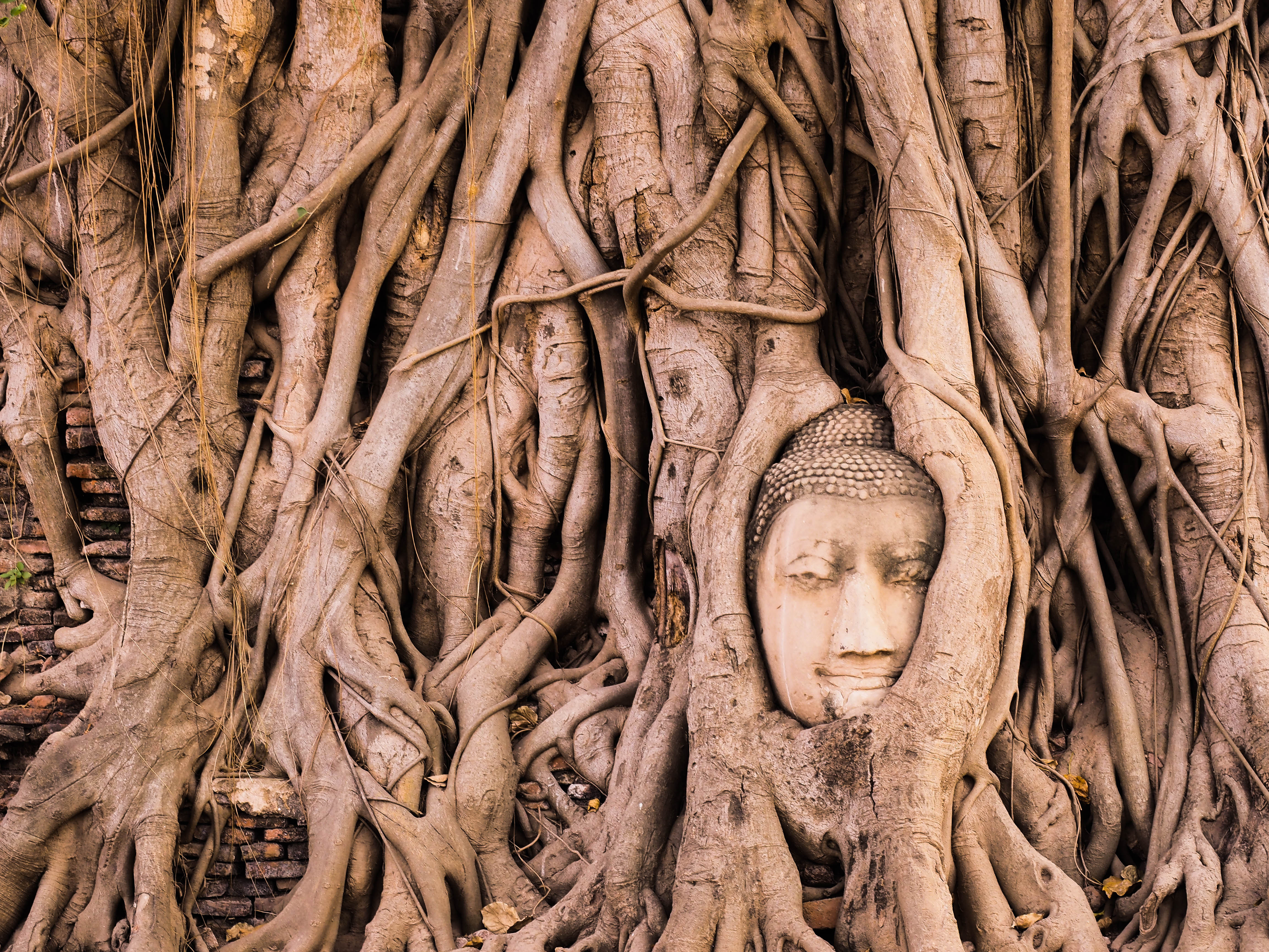 Rejser til det centrale Thailand