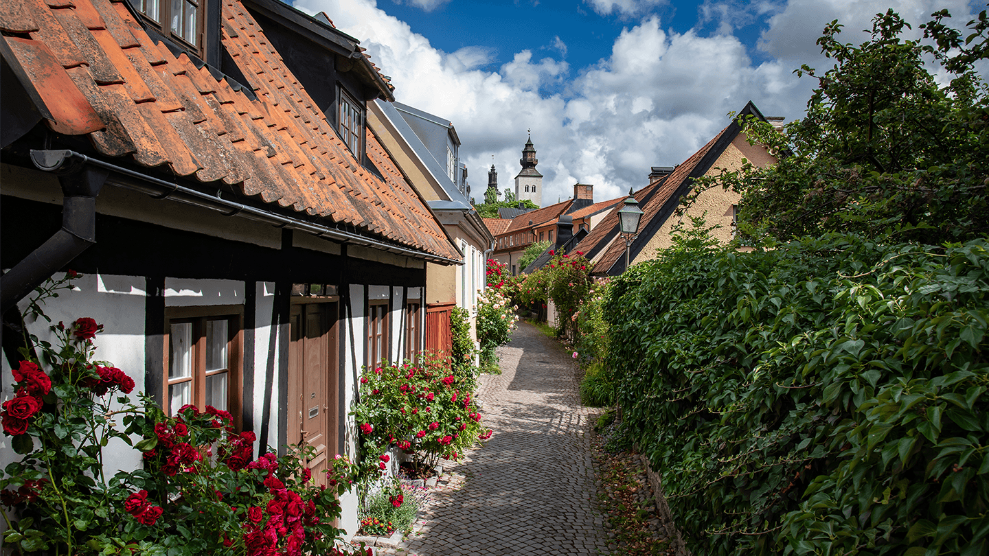 Besøg Visbys idylliske gamle bydel med sine små krogede middelaldergader