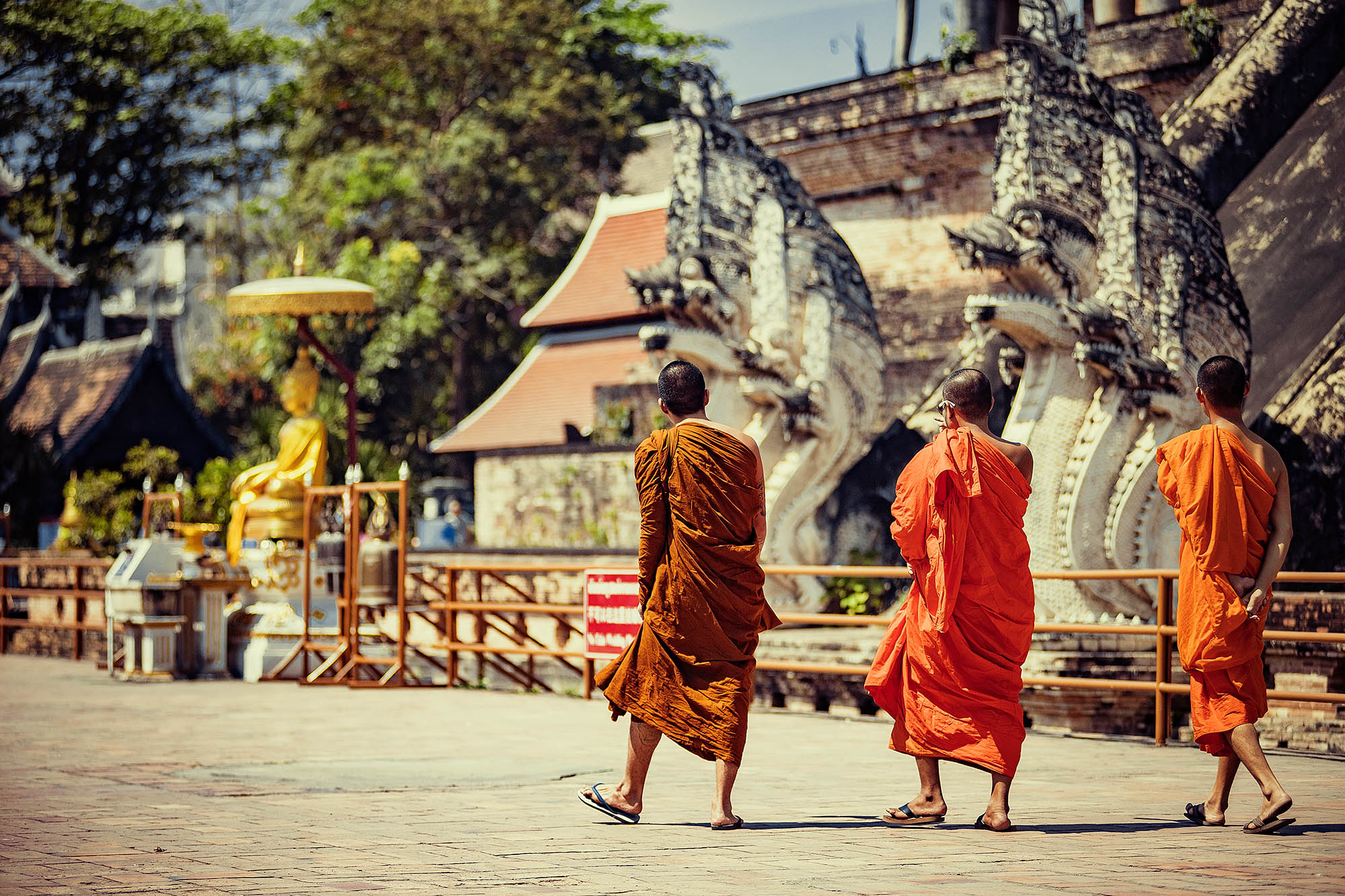 Munke ved Wat Chedi Luang i Chiang Mai