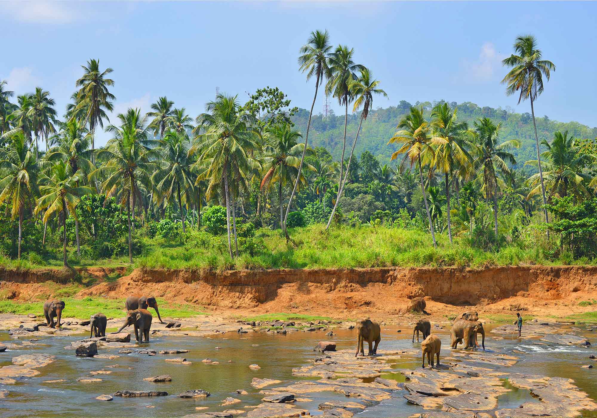I kan være vidne til spektakulære dyreoplevelser i det frodige land