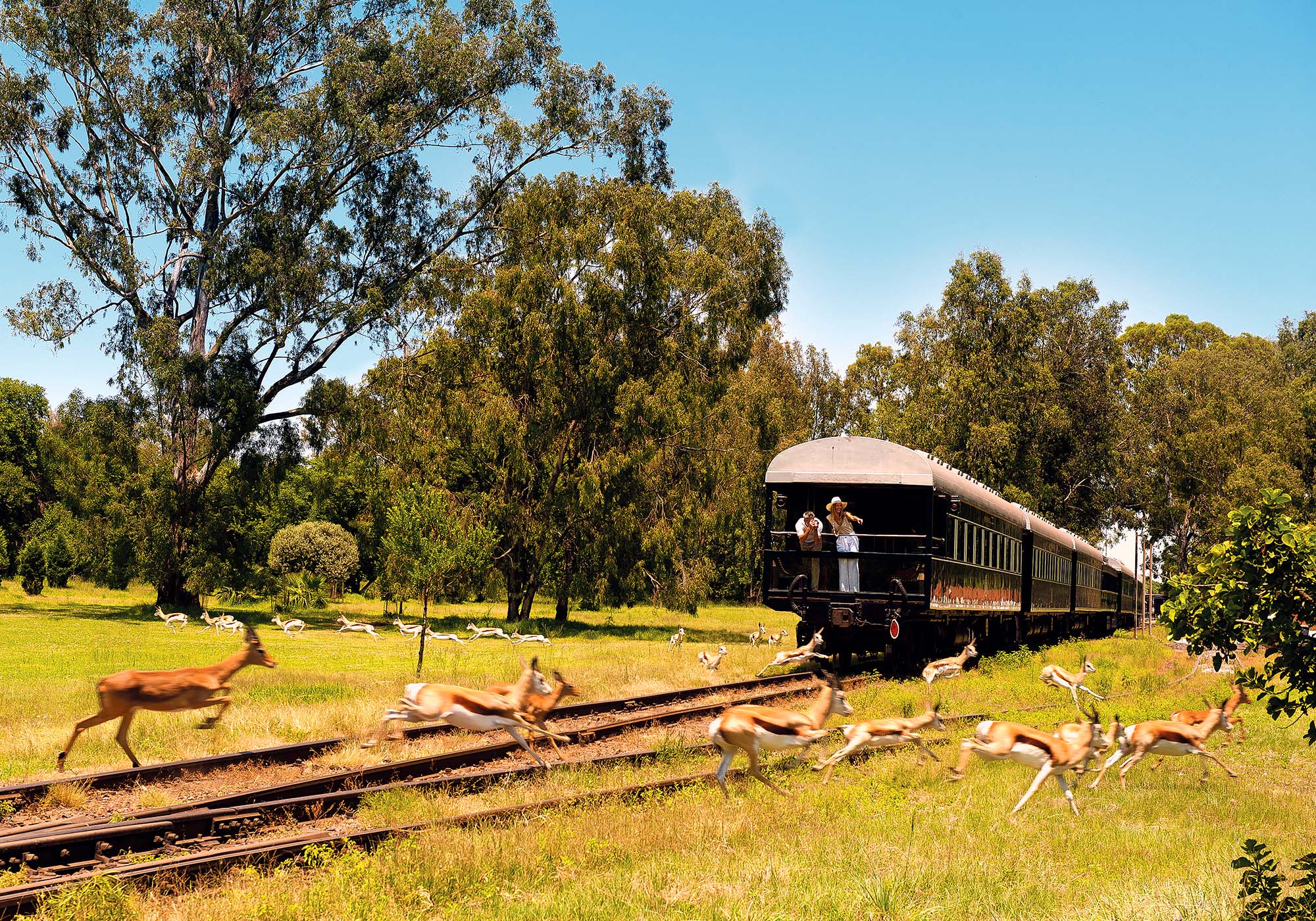 Rovos Rail i Sydafrika