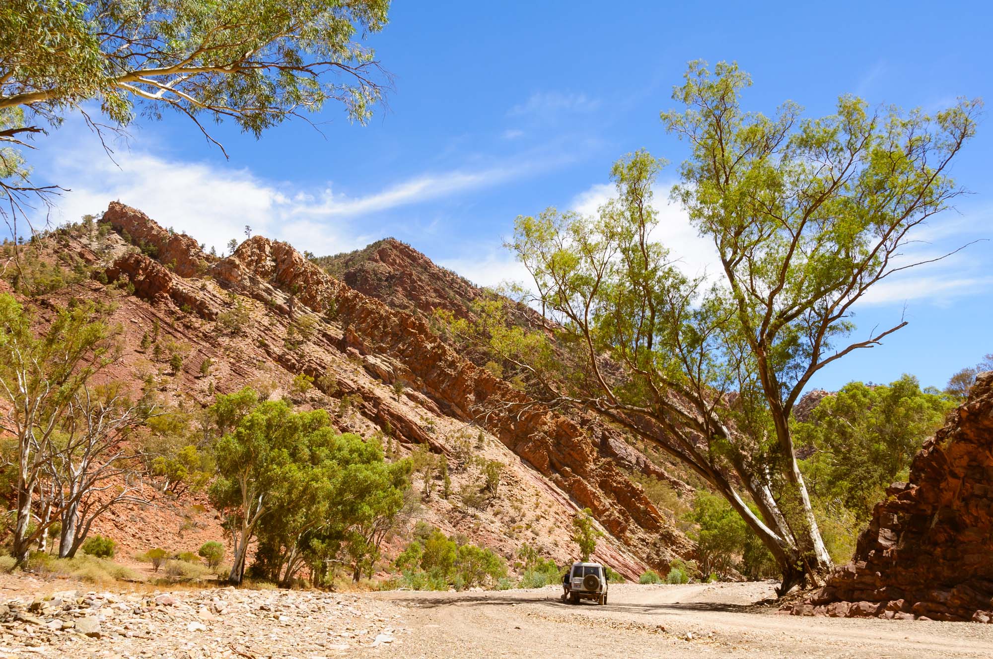 I Flinders Ranges kan du køre mellem spektakulære bjerge og langs dramatiske kyster.