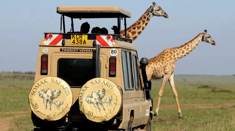 På en game drive er du på udkig efter de vilde dyr