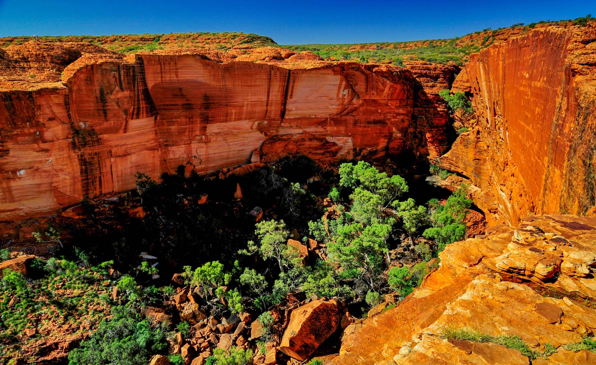 australia-kings-canyon-shutterstock_155142875