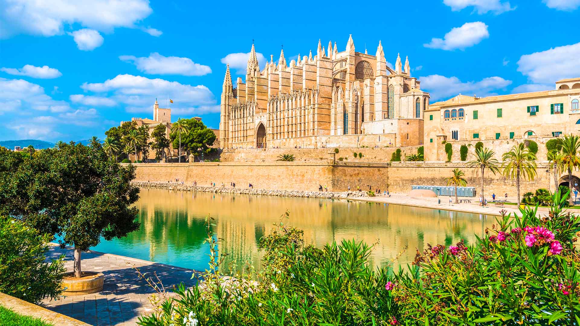 Den majestætiske gotiske katedral La Seu ligger smukt ved havet i Palma de Mallorca