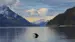 USA-Alaska-humpback-whale-in-calm-waters