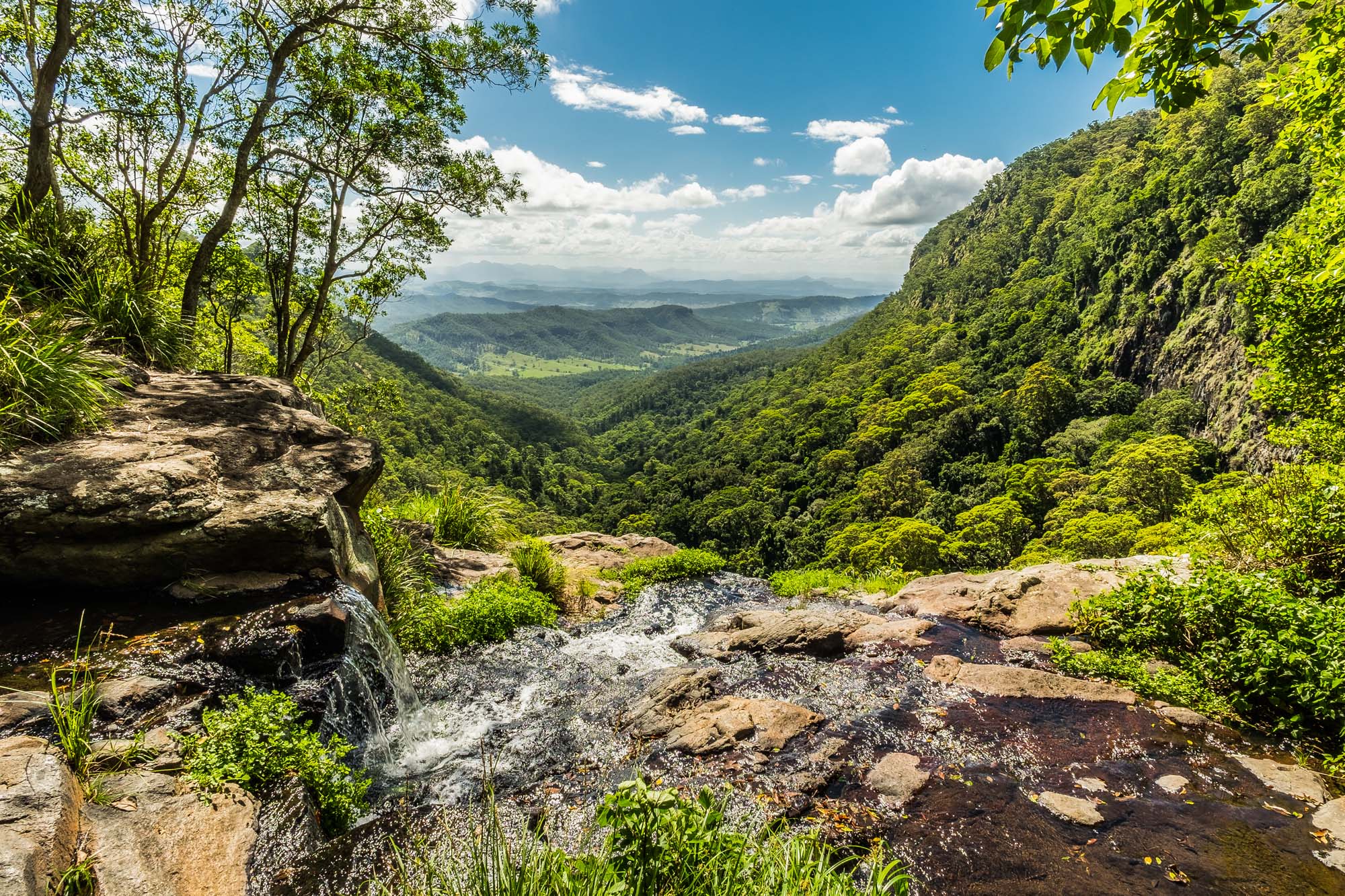 Lamington National Park