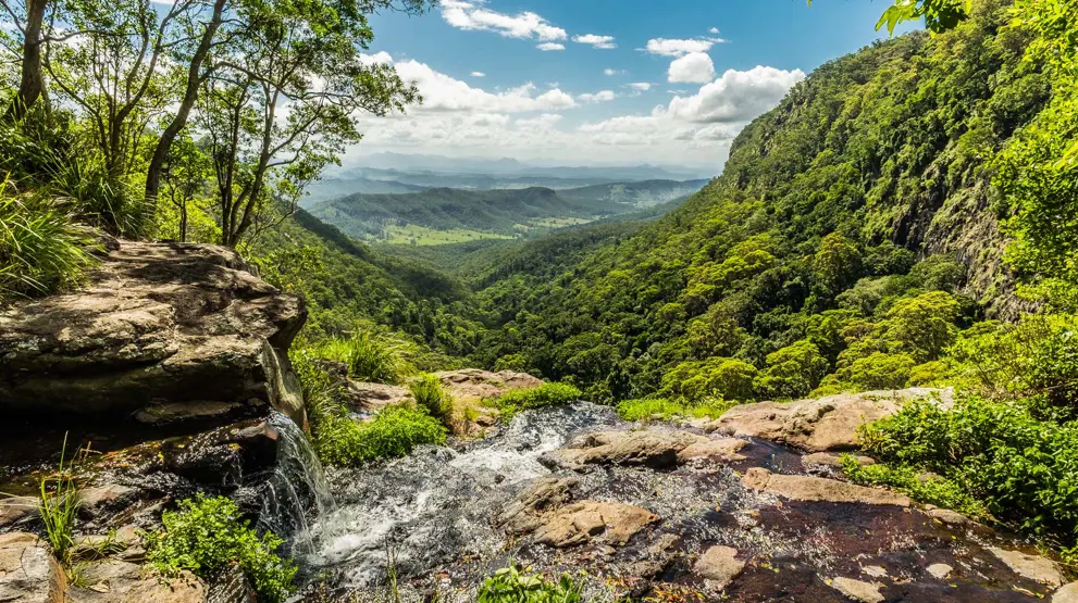 Lamington National Park