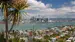 New_Zealand_Auckland_view_from_mt_victoria_summer_iStock-513875790