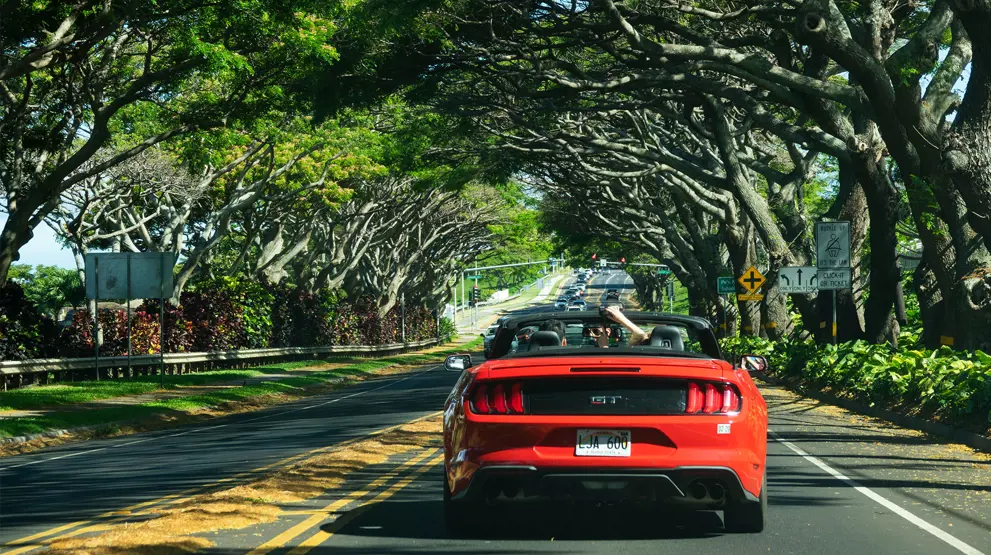 Åben bil eller stor SUV? BENNS rådgiver dig om det rette valg til din rejse. Foto: @VisittheUSA.com