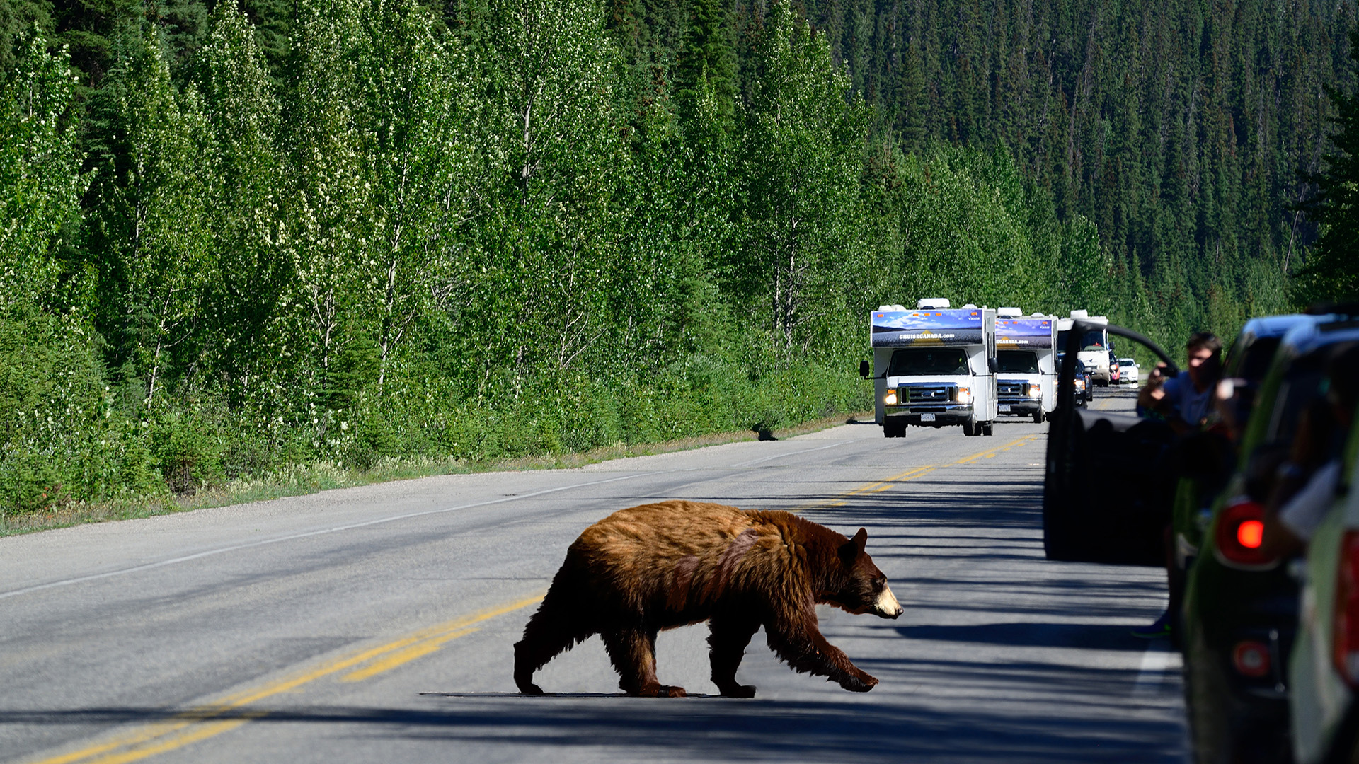 Kom tæt på naturen i det vestlige Canada.
