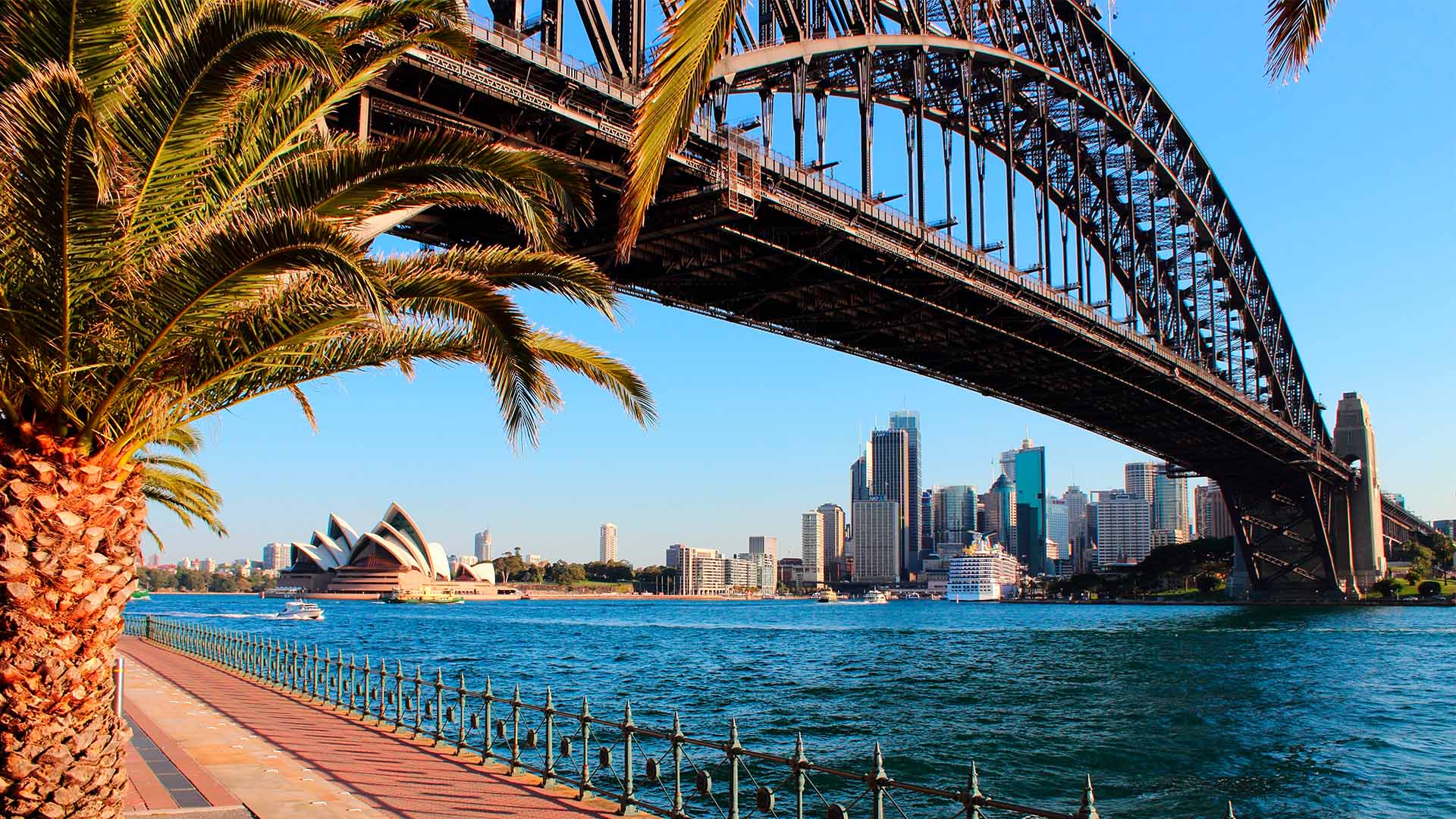 Udsigt til det ikoniske operahus bag Sydney Habour Bridge