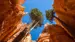 usa-utah-bryce-canyon-np-najavo-loop-shutterstock-385286479