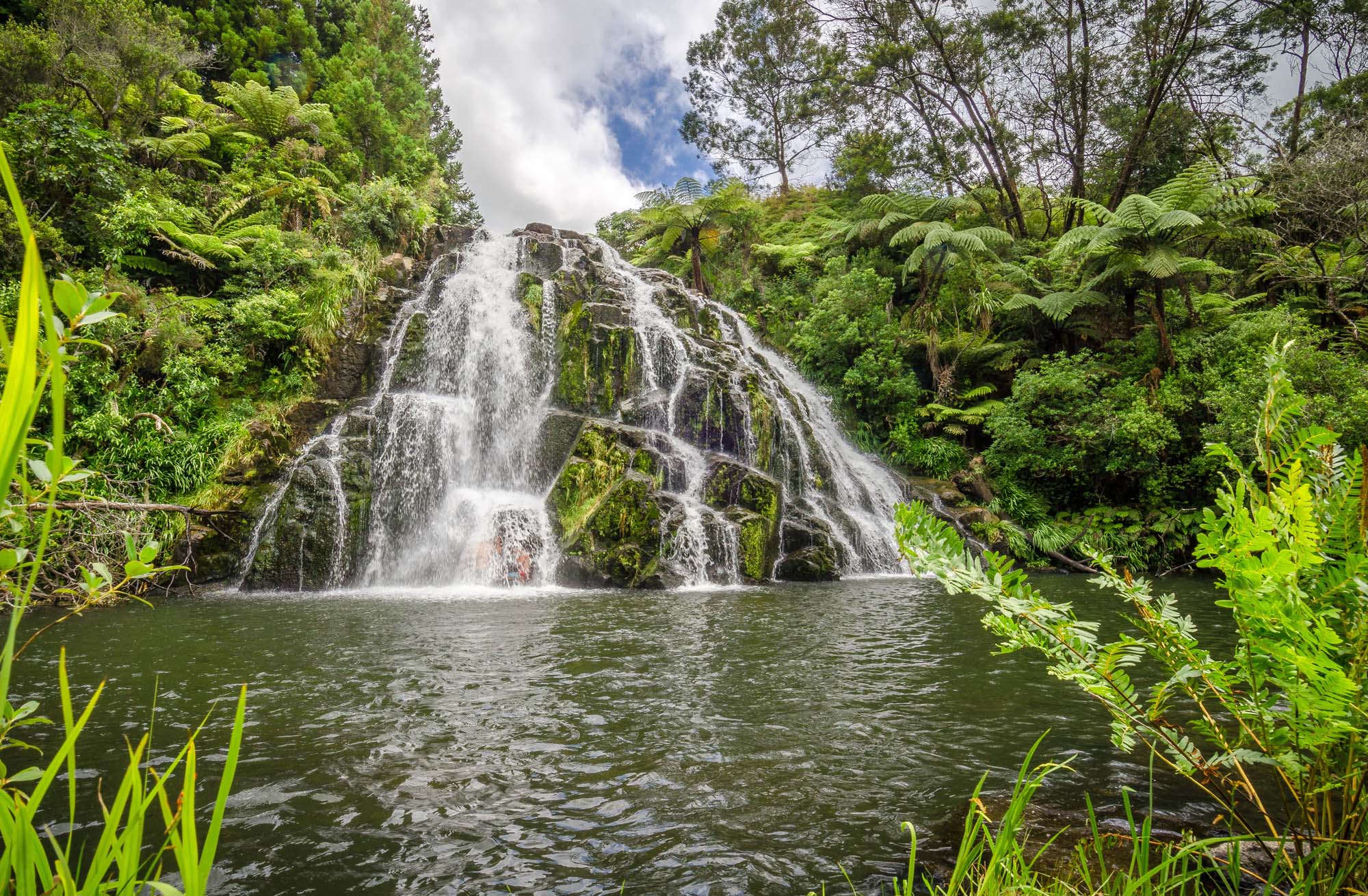 new-zealand-coromandel-karangahake-gorge-owharoa-falls-shutterstock_246090295