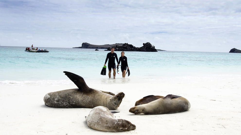 Rejs til fantastiske Galapagos | Photocredit: Celebrity Cruises