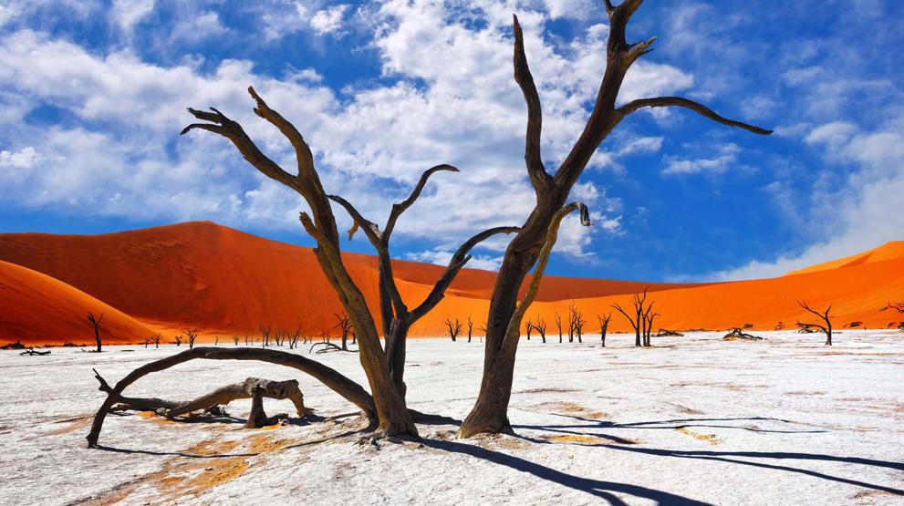 Ørkenen i Namibia er imponerende - Rejser til Namibia