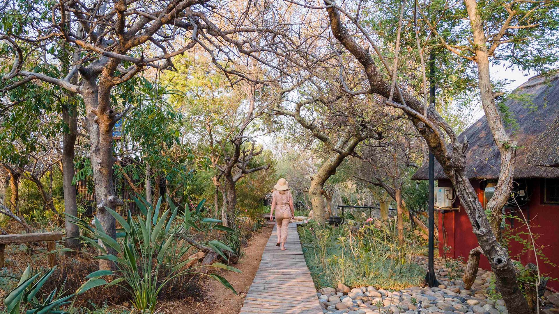 Hele campen er bygget i ét med naturen