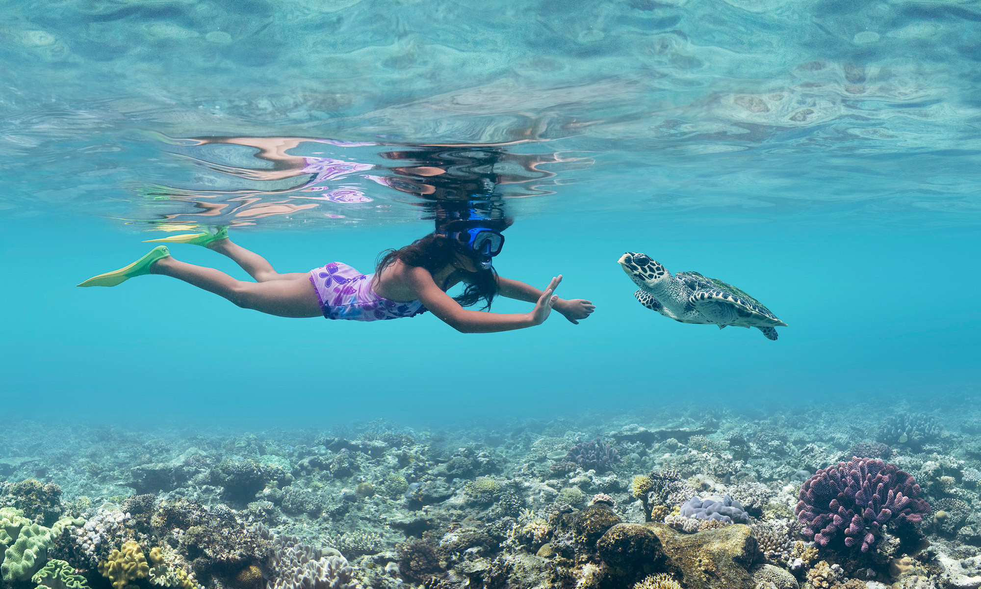 Rejser til Fiji byder på alt fra snorkling med havskildpadder til vandreture i naturen.