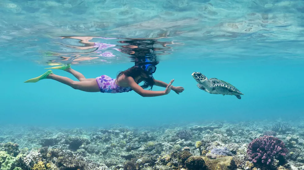 Rejser til Fiji byder på alt fra snorkling med havskildpadder til vandreture i naturen.