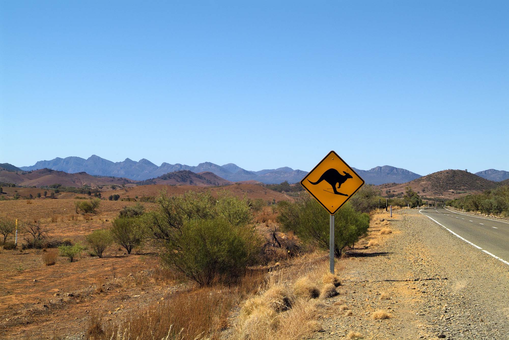 australia-flinders-ranges-kangaroo-sign-iStock-637145886