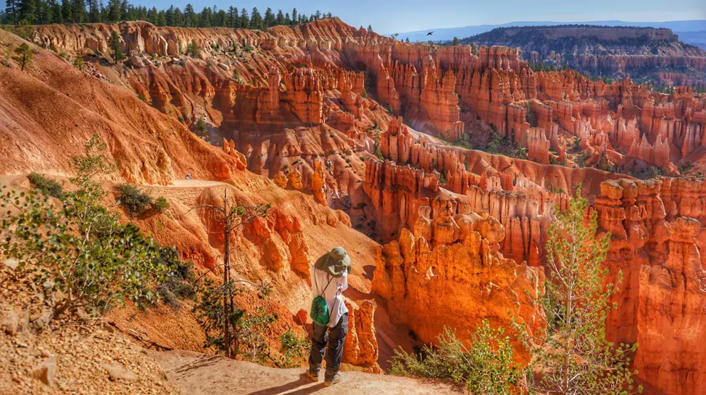 Drømmeagtigt landskab
