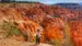 usa-utah-bryce-canyon-np-views-of-the-hiking trails-shutterstock-553105621
