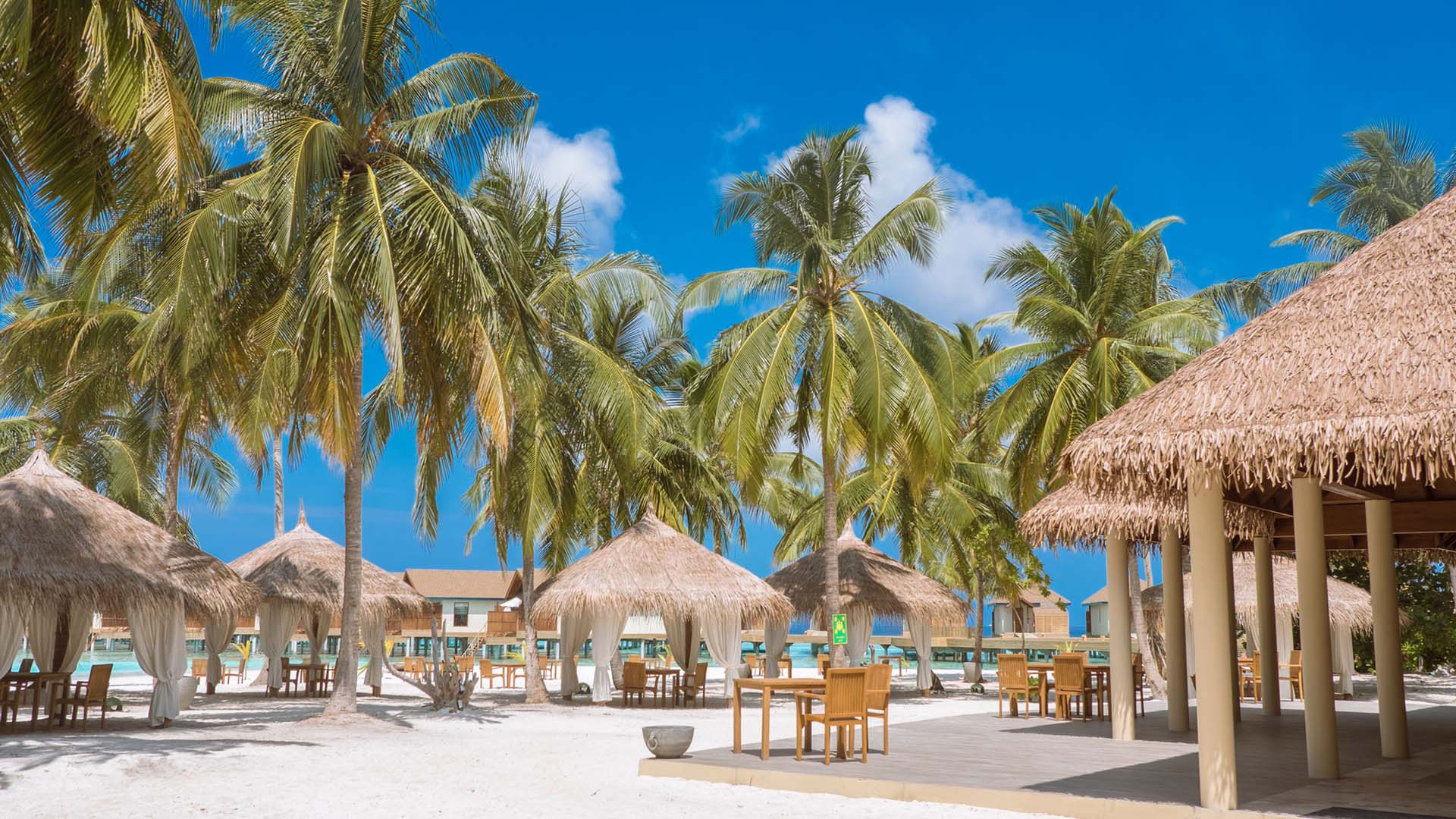 Rejser til Maldiverne byder på noget næsten hele året rundt.