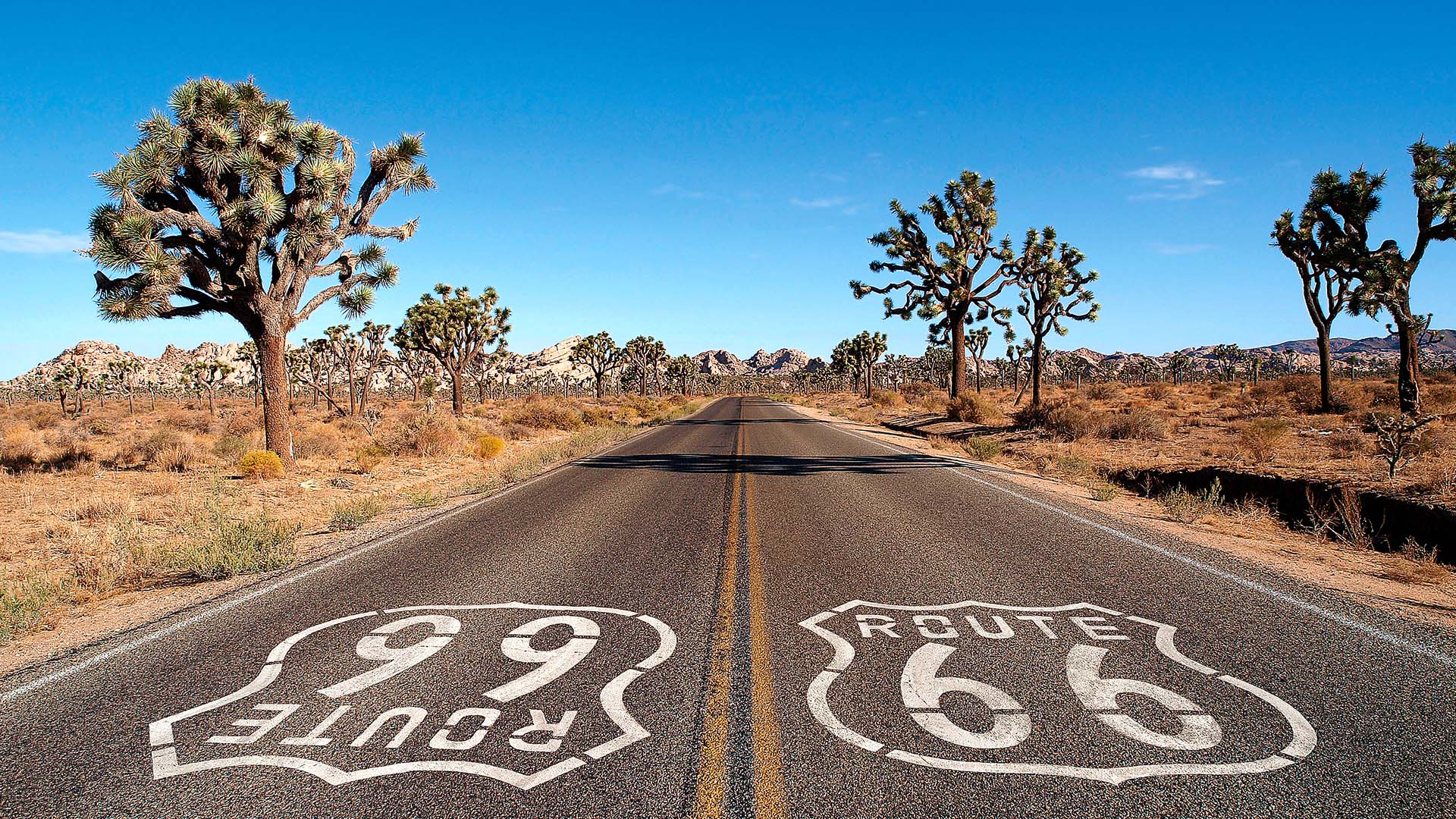 Et roadtrip på Route 66 er en drøm for mange USA-elskere