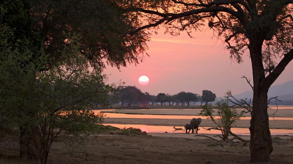 Safari i Zimbabwe