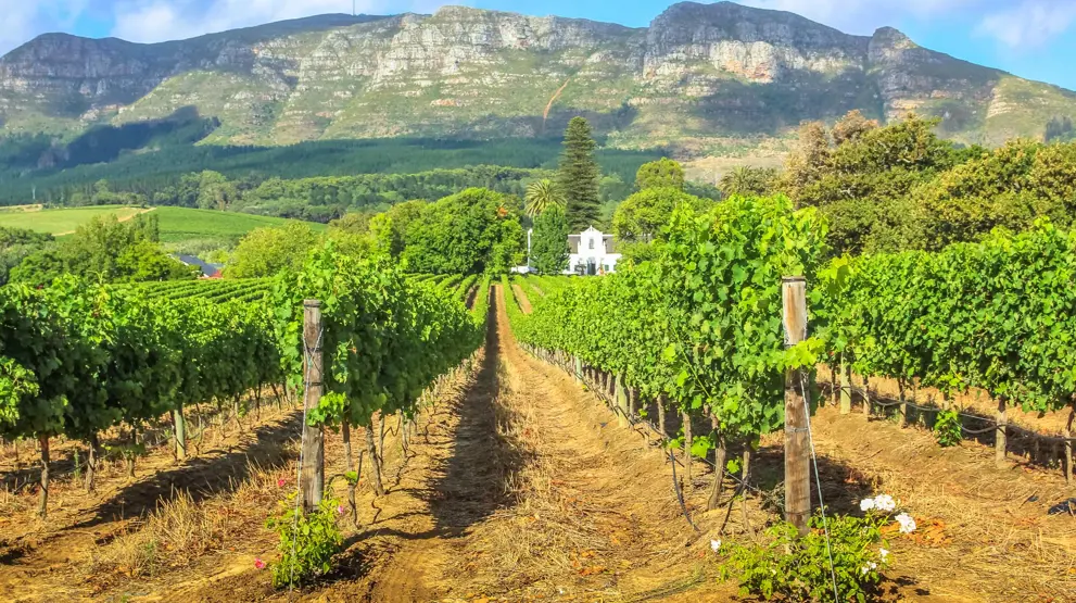 Se vinlandet nord for Cape Town på din rejse til Sydafrika.