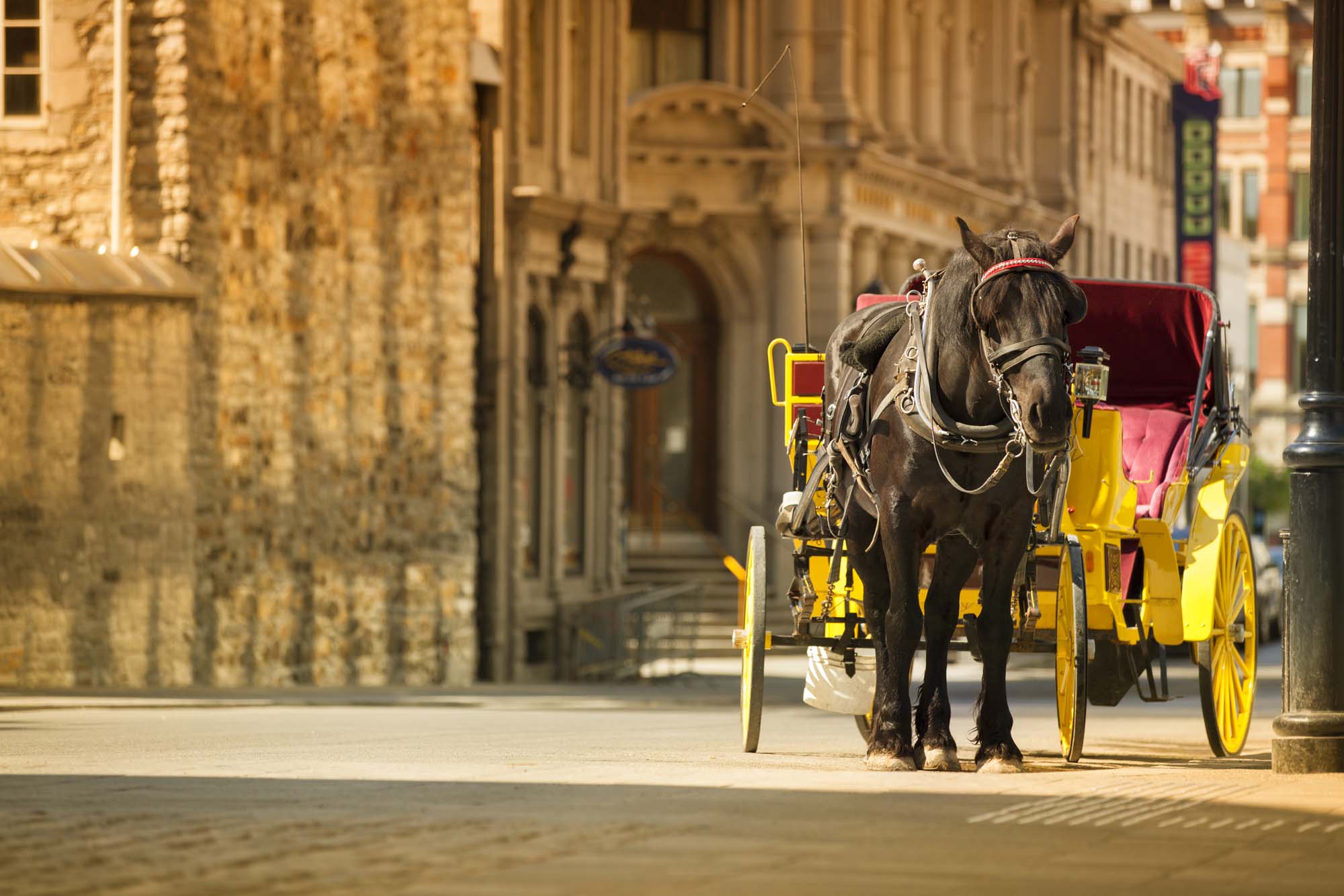 Bydelen Old Town i Montreal med fransk kultur og indflydelse.