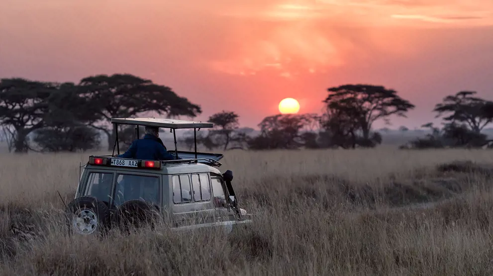 Nogle aktiviteter foregår med resten af gruppen, f.eks. game drives på safari og andre guidede ture