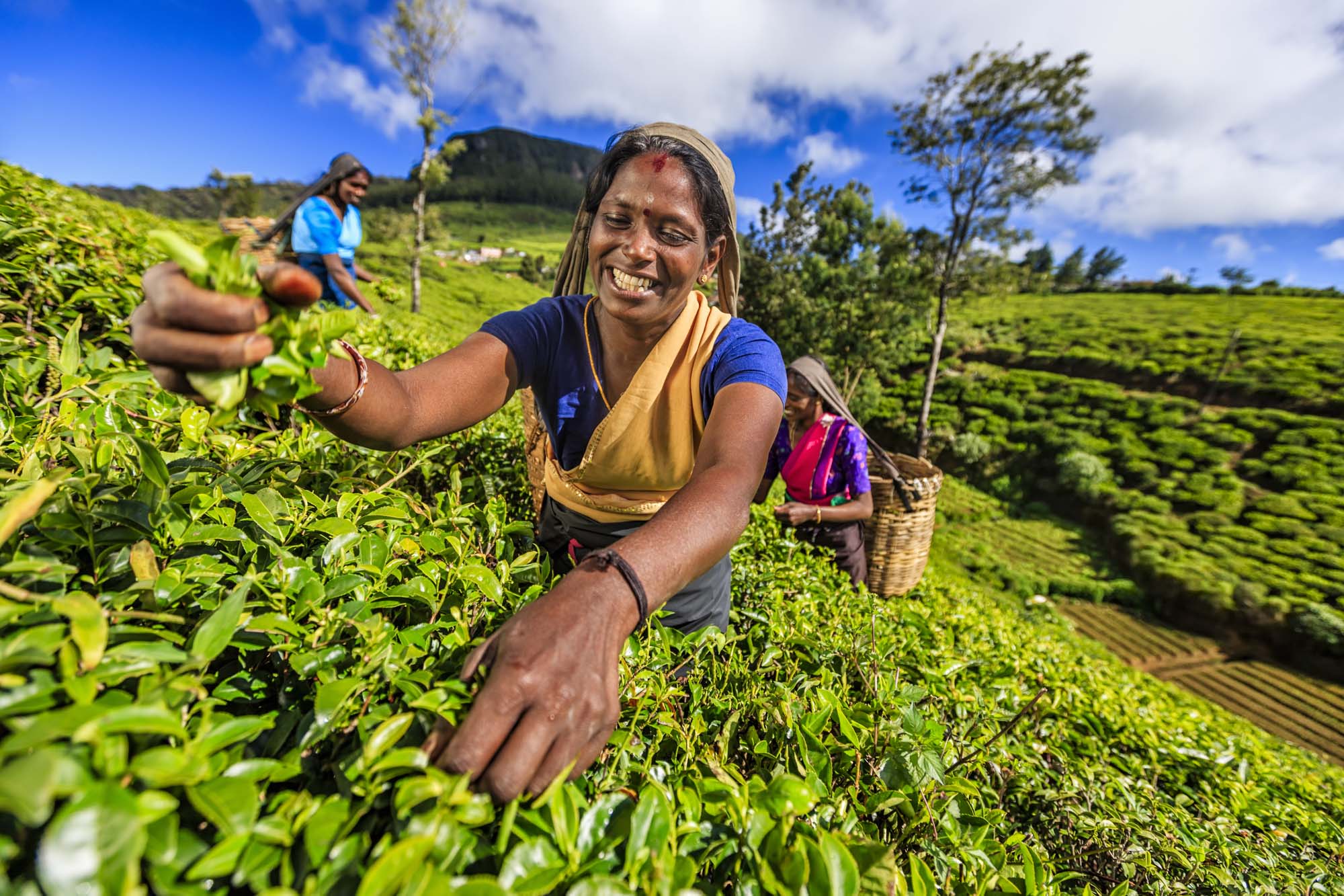 Mød lokalbefolkningen og fordyb dig i kulturen på din rejse til Asien.