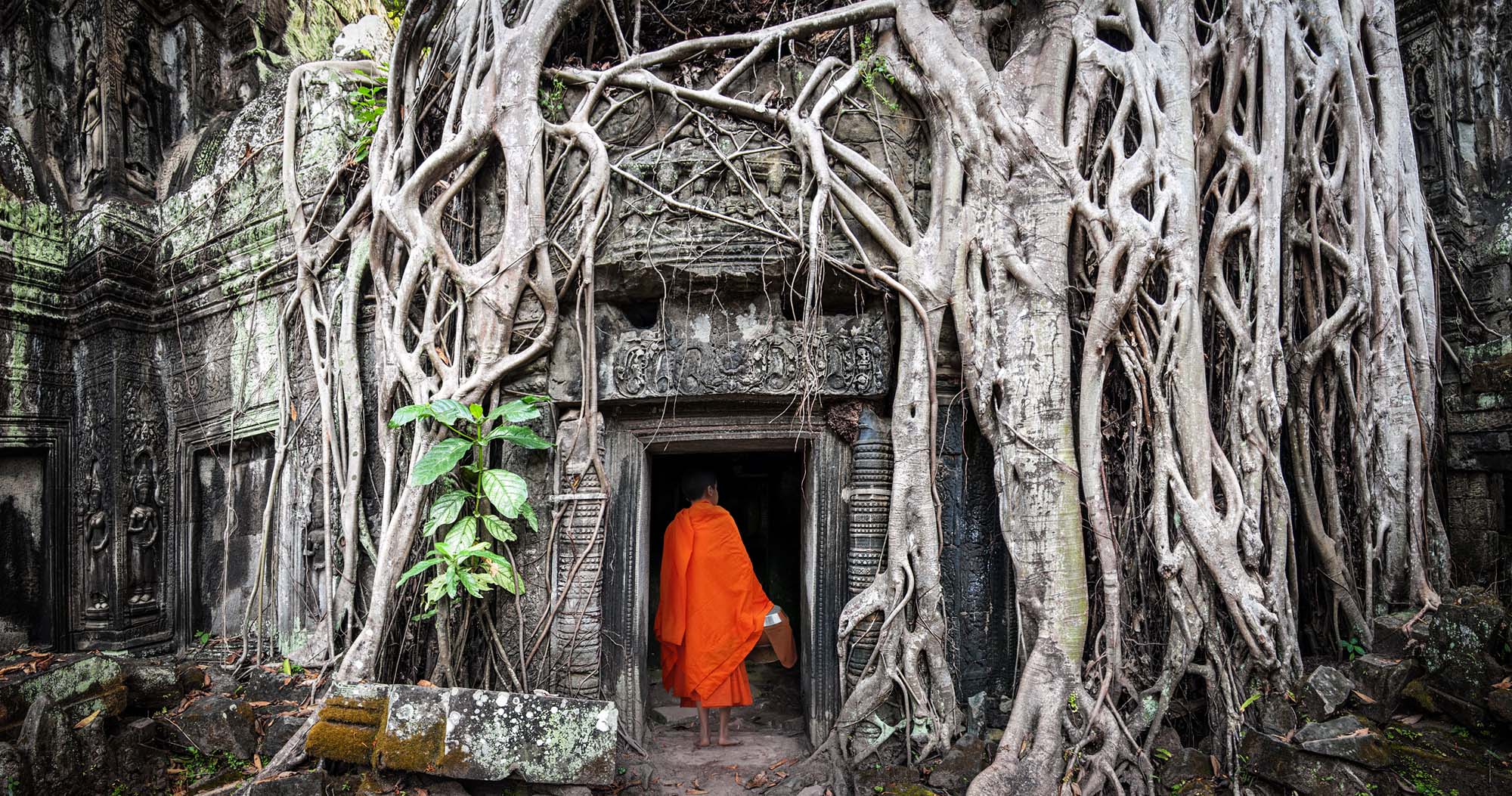 "Tomb Raider"-templet i Angkor Wat