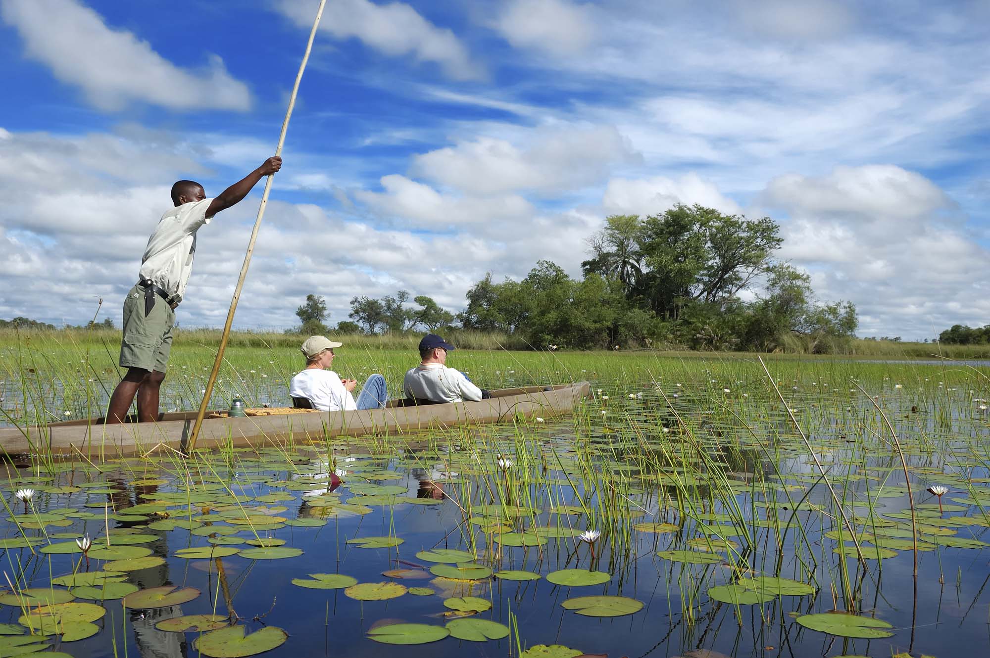 Rejser til Botswana