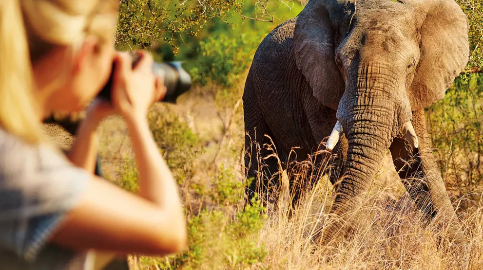 Kom helt tæt på dyrene