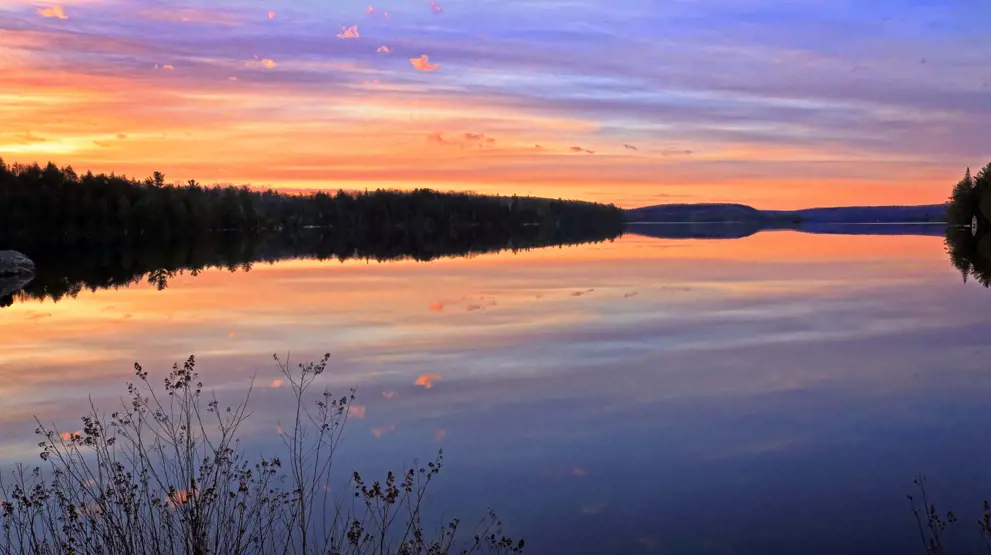 Nyd naturen i Algonquin Provincial Park
